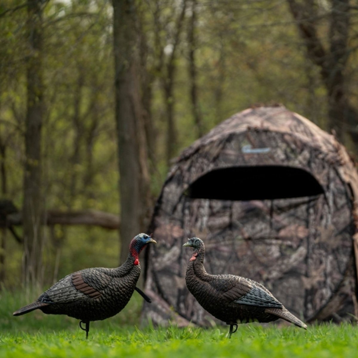 Flextone Hunting Thunder Jake - Forza Sports