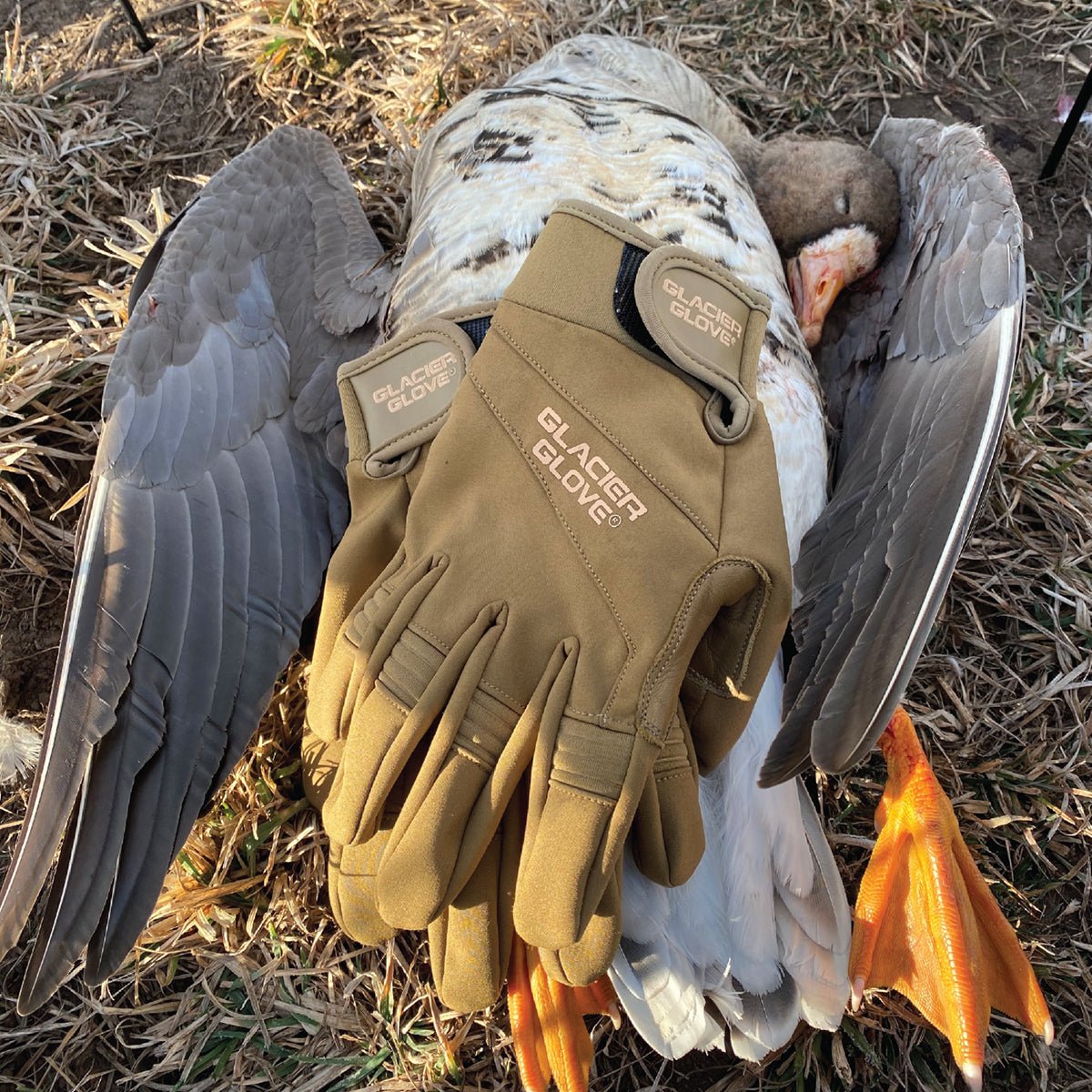 Glacier Glove Guide Full Finger Gloves - Coyote - Forza Sports