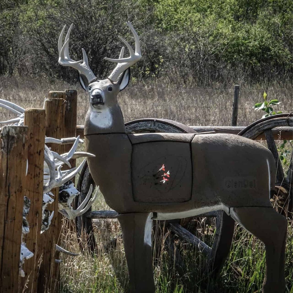 Deer-shaped target buck sided insert with antlers in a natural setting