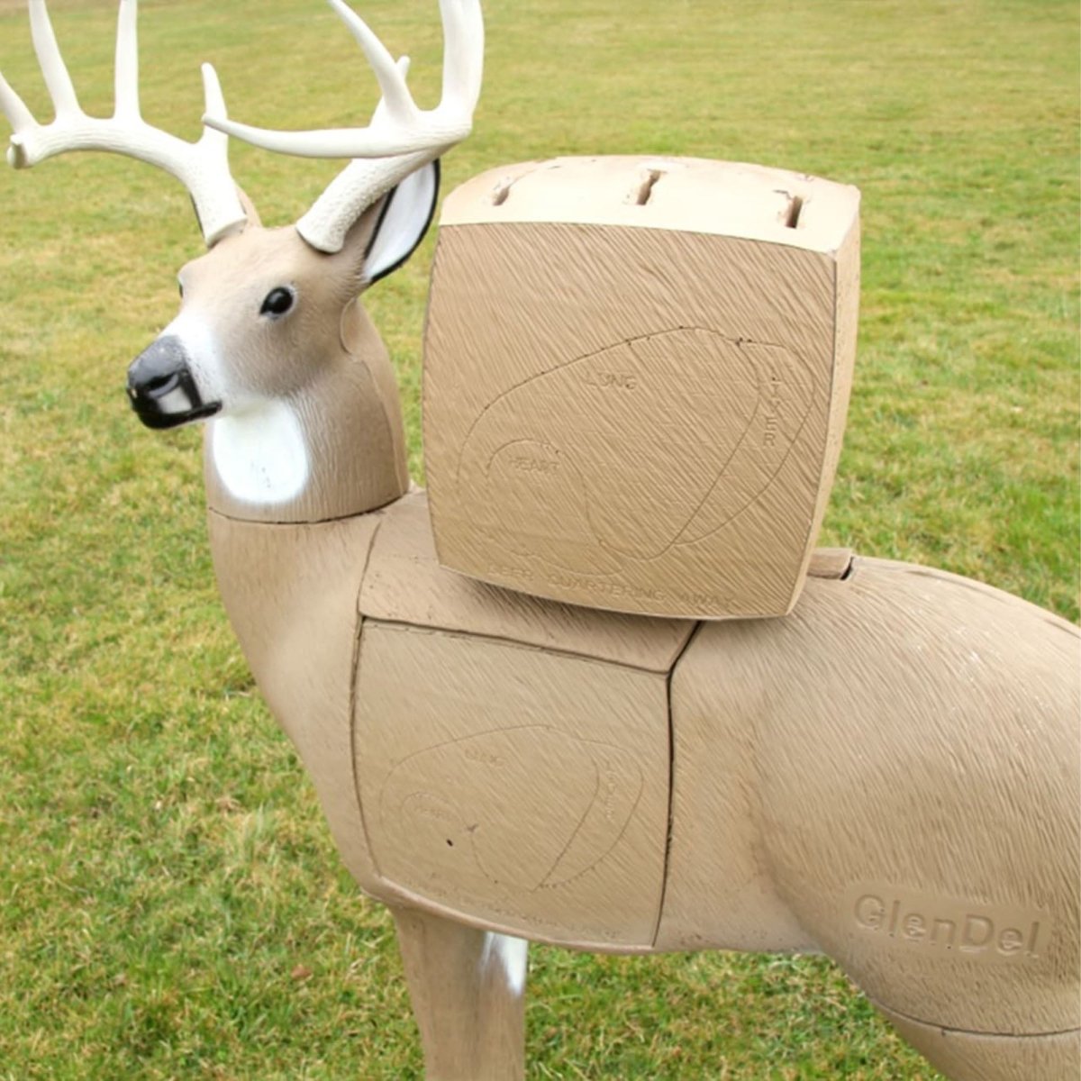 Cardboard deer shaped pre rut buck target with antlers on a grassy background