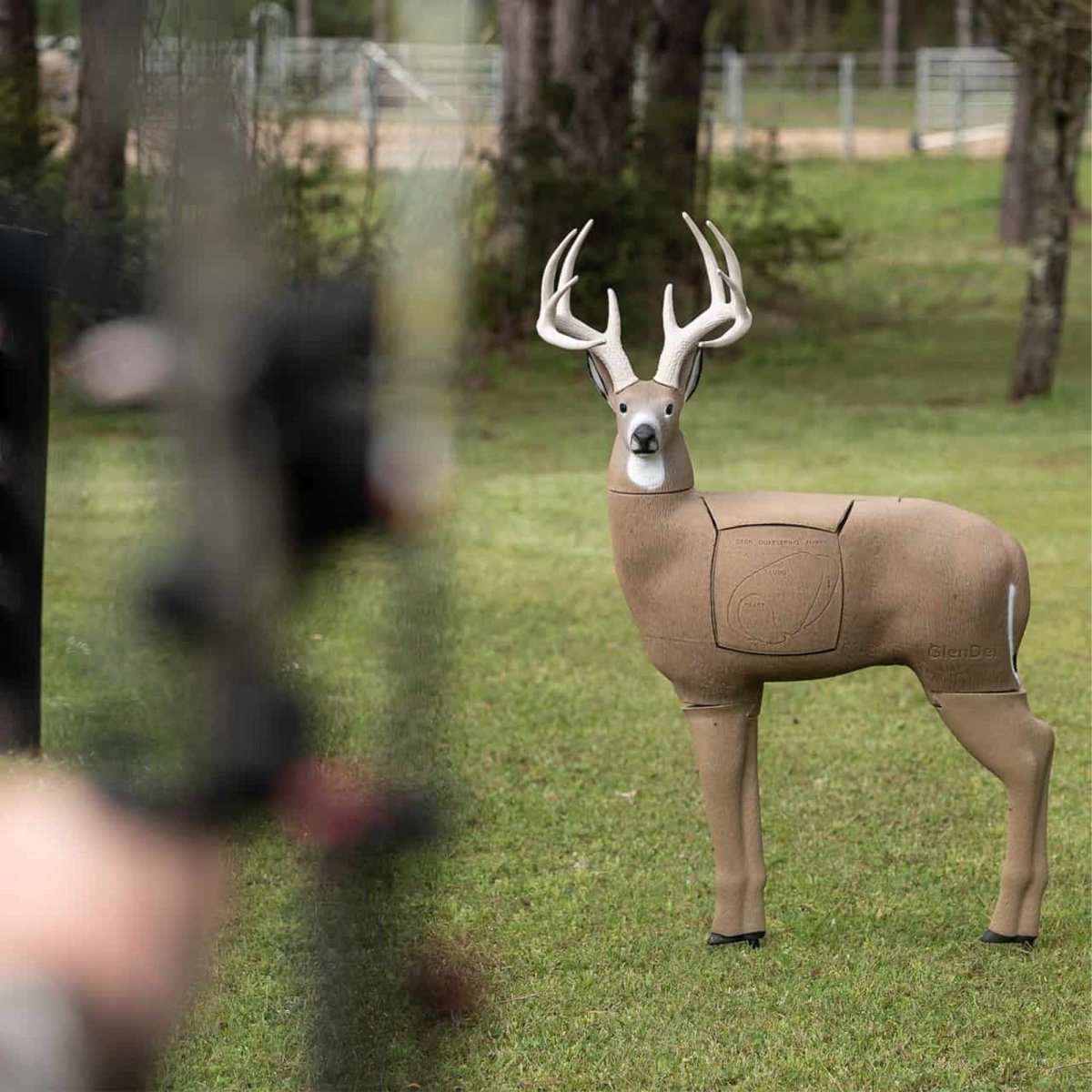 Deer-shaped target buck sided insert on grass with blurred archery bow in foreground