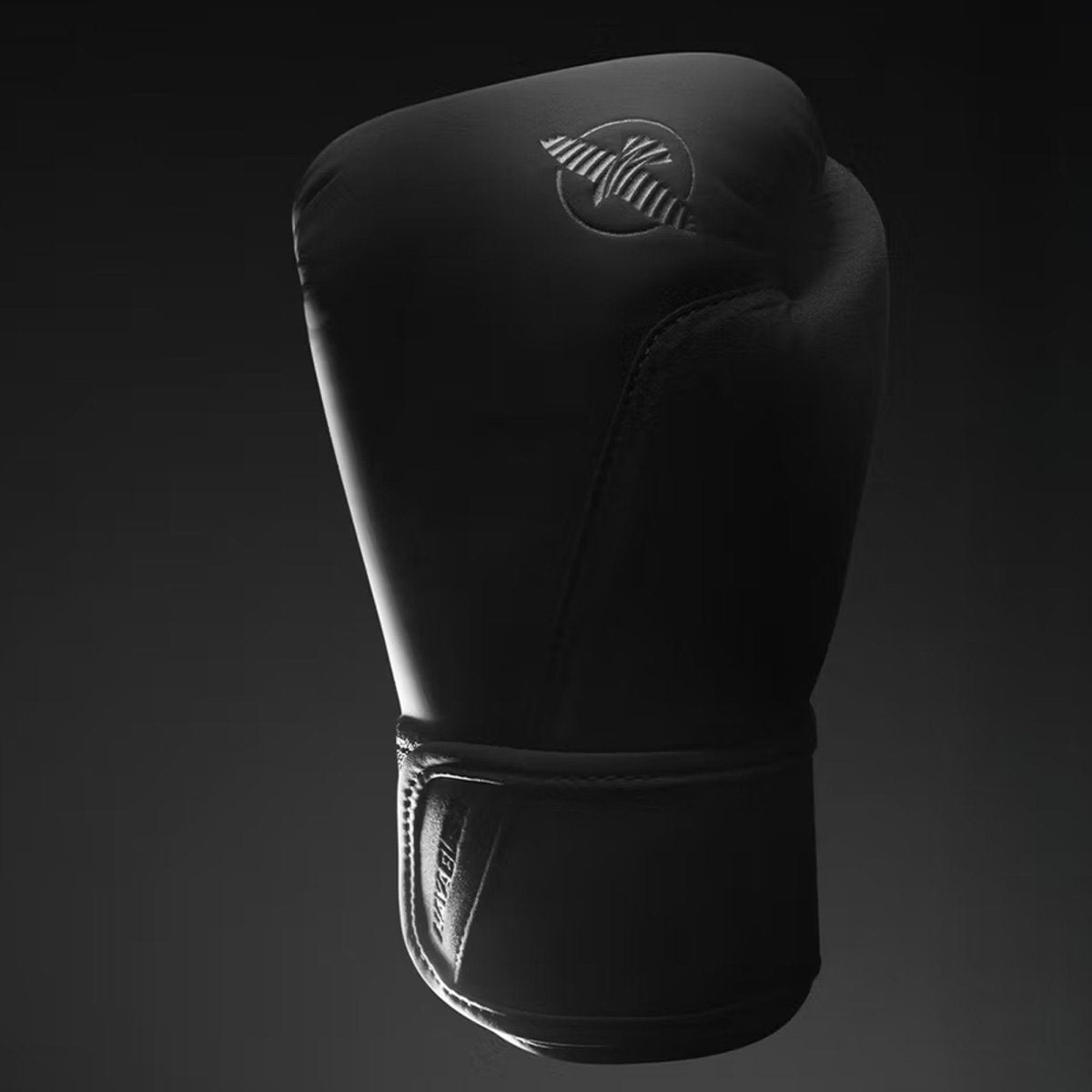 Hayabusa T360 Boxing Gloves - Forza Sports