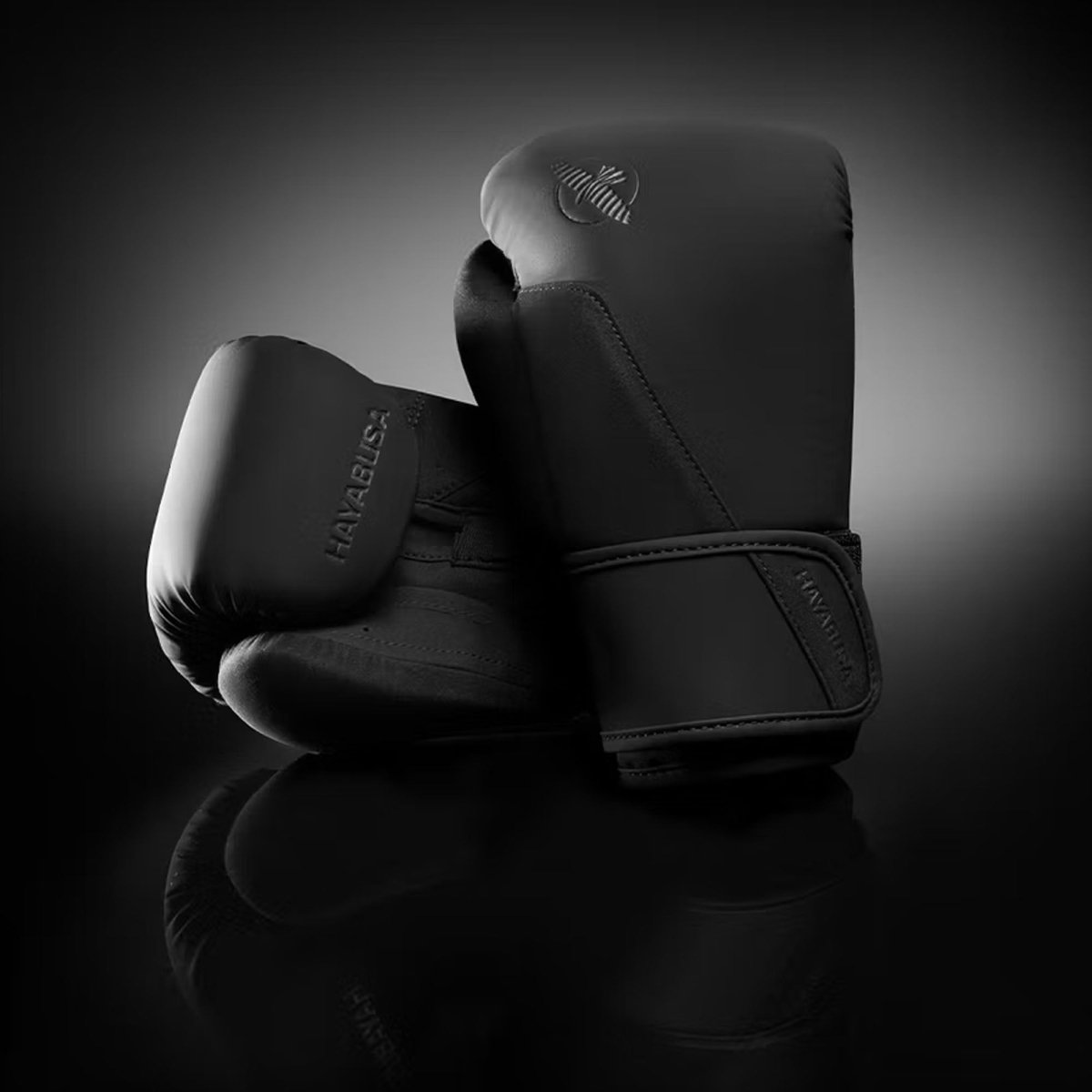 Hayabusa T360 Boxing Gloves - Forza Sports