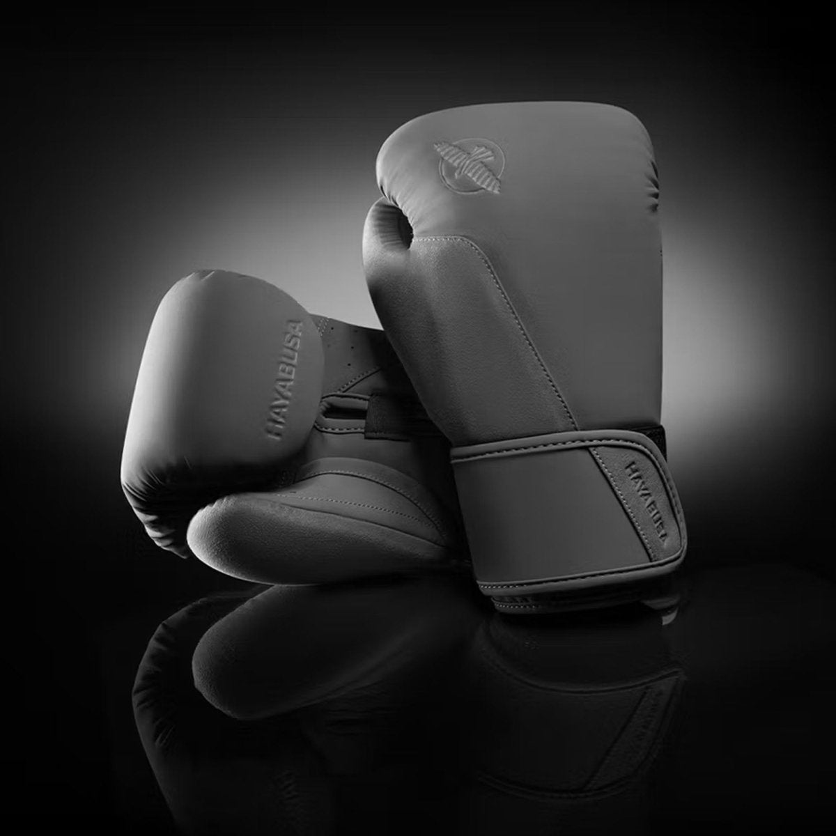 Hayabusa T360 Boxing Gloves - Forza Sports