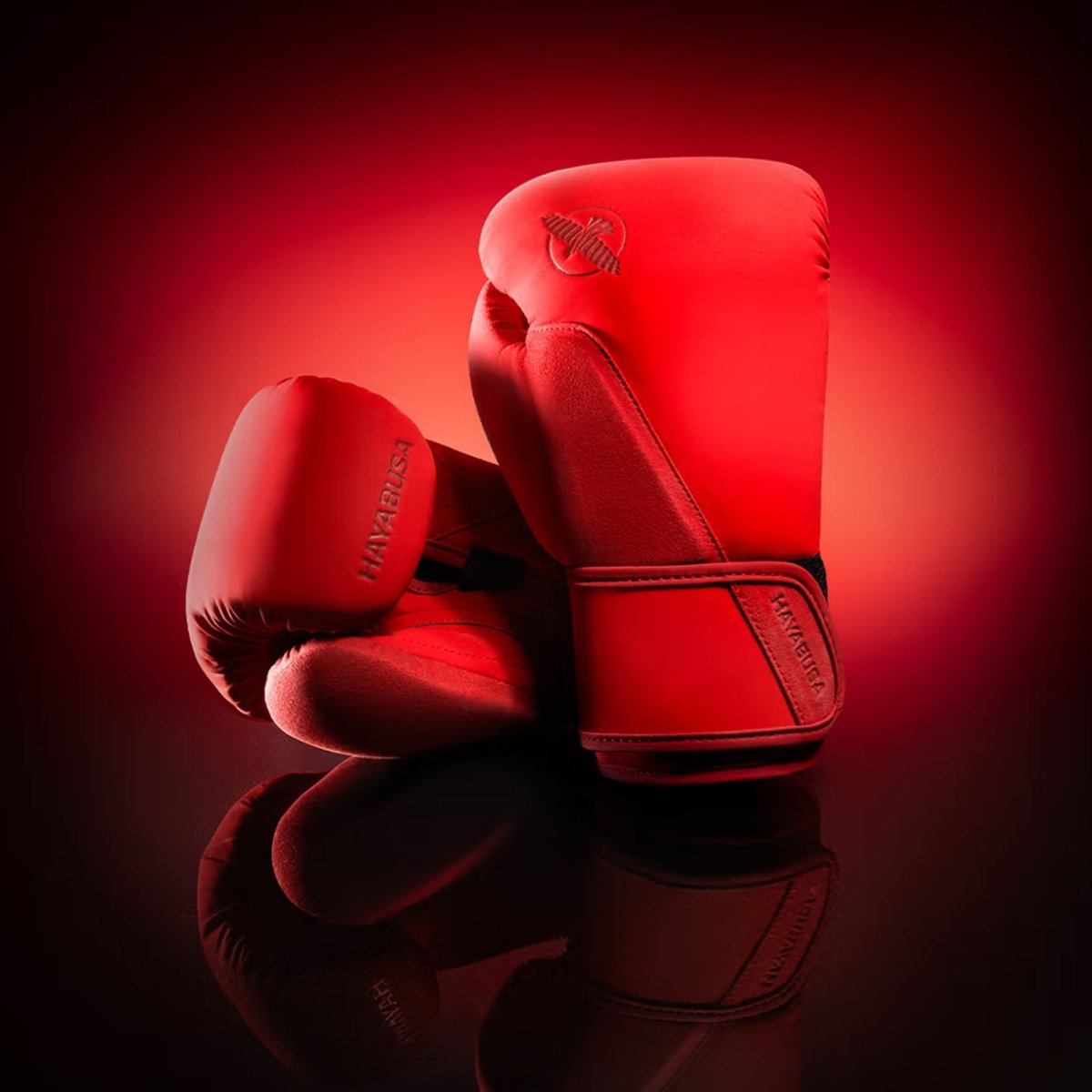 Hayabusa T360 Boxing Gloves - Forza Sports