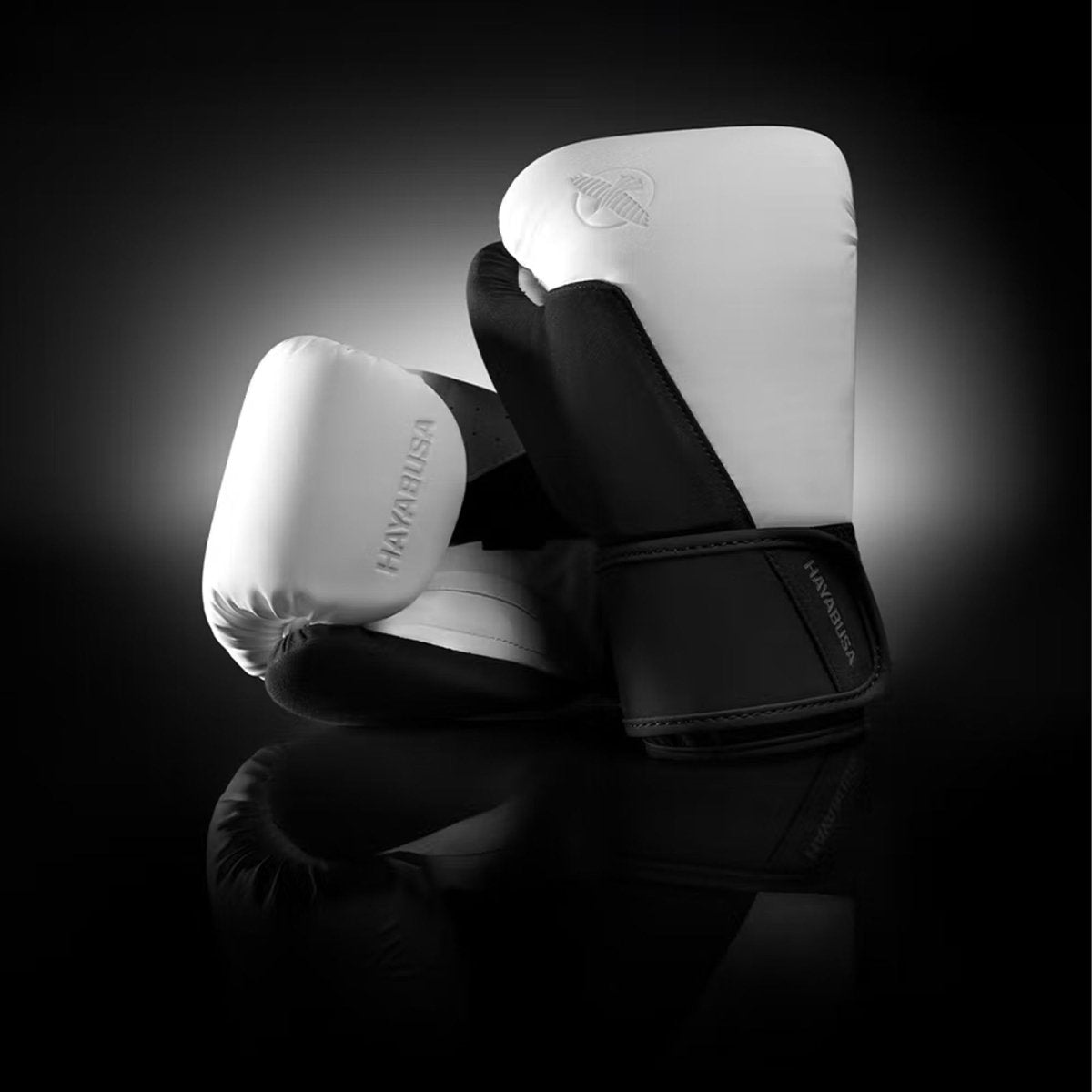 Hayabusa T360 Boxing Gloves - Forza Sports