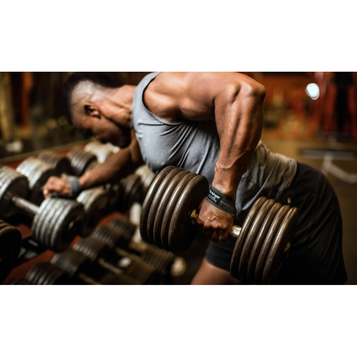 Harbinger DuraHide Real Leather Lifting Straps - Forza Sports