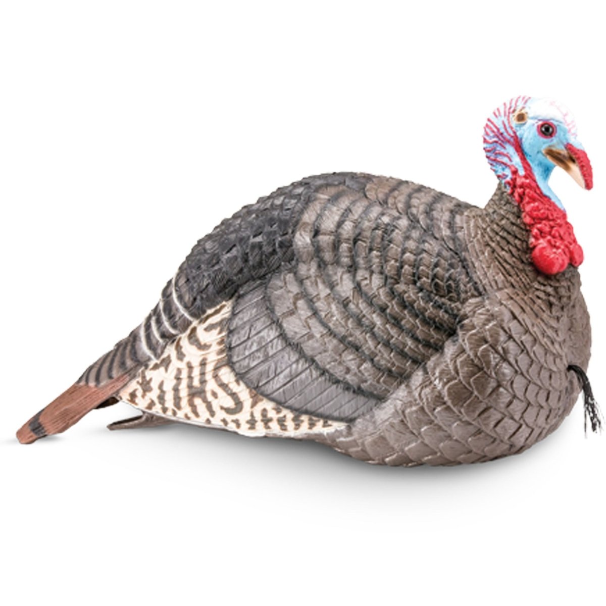 Hunter's Specialties Strut - Lite Jake Decoy - Forza Sports
