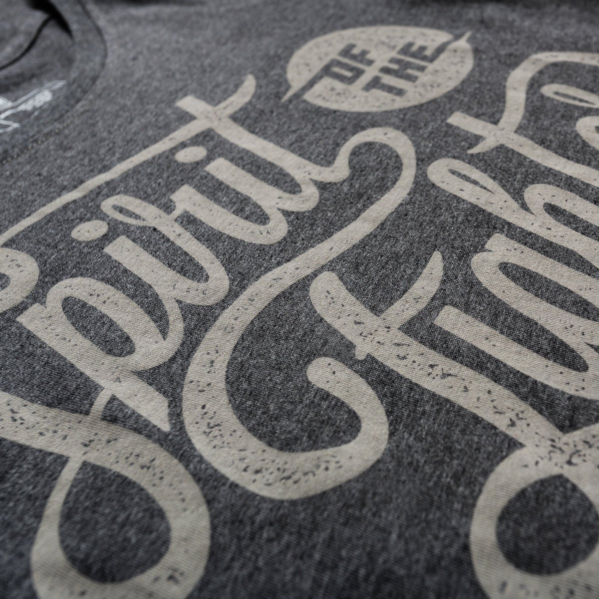 Hayabusa Women's Classic Spirit of the Fighter T-Shirt - Medium - Gray - Forza Sports