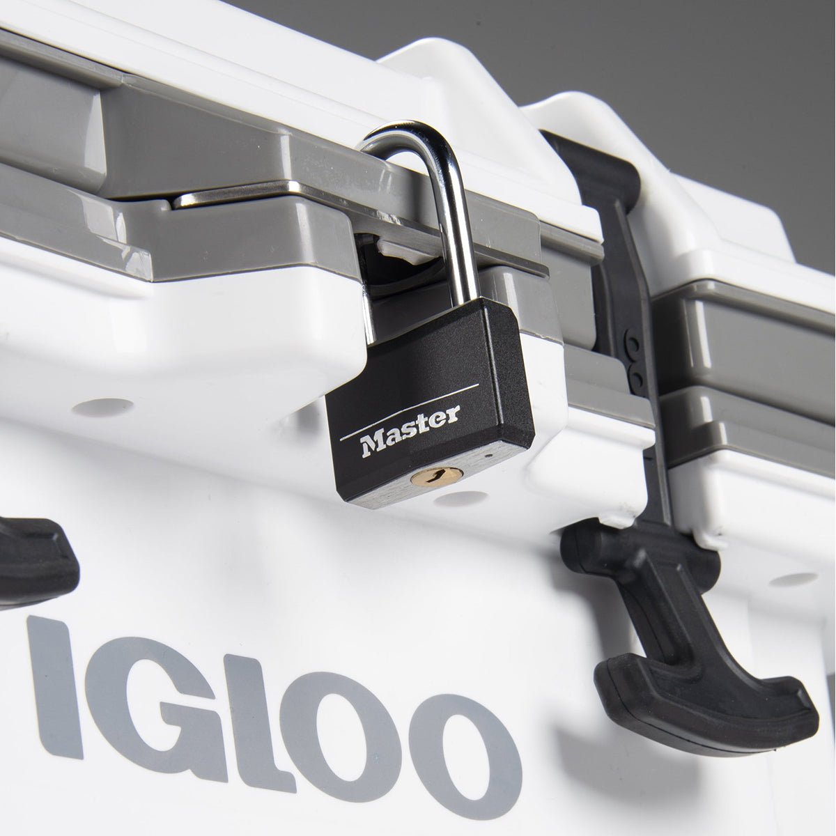 IGLOO IMX 24 qt. Hard Cooler - White - Forza Sports