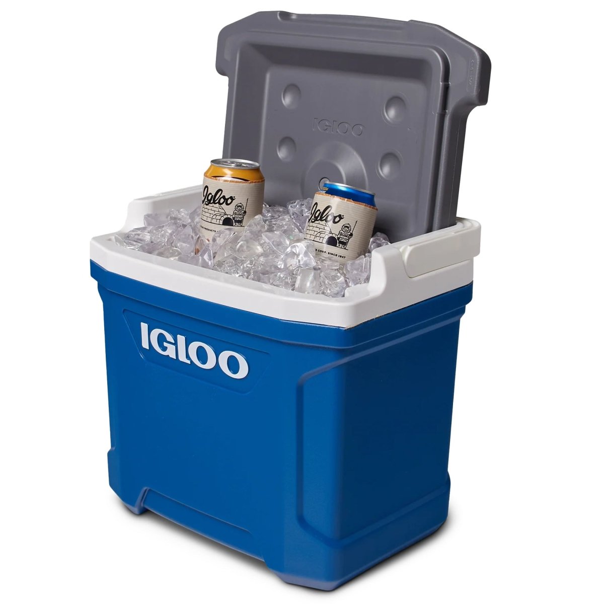 Igloo Latitude 16 QT Cooler Box - Forza Sports
