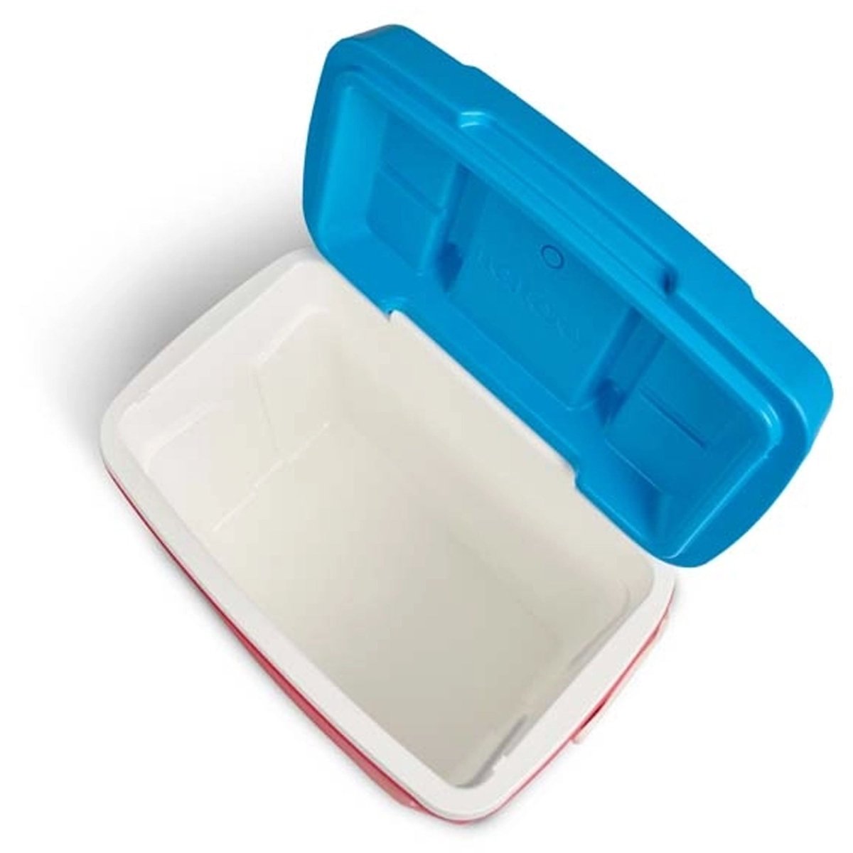 IGLOO Latitude 30 Qt Cooler, Rave Red - Forza Sports