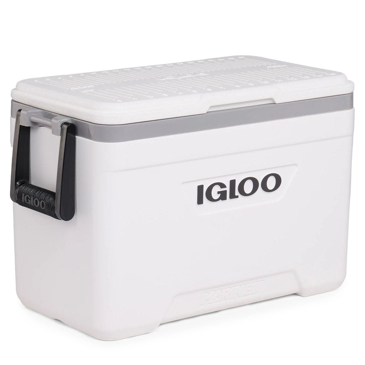 Igloo Marine 25 QT Cooler - Forza Sports