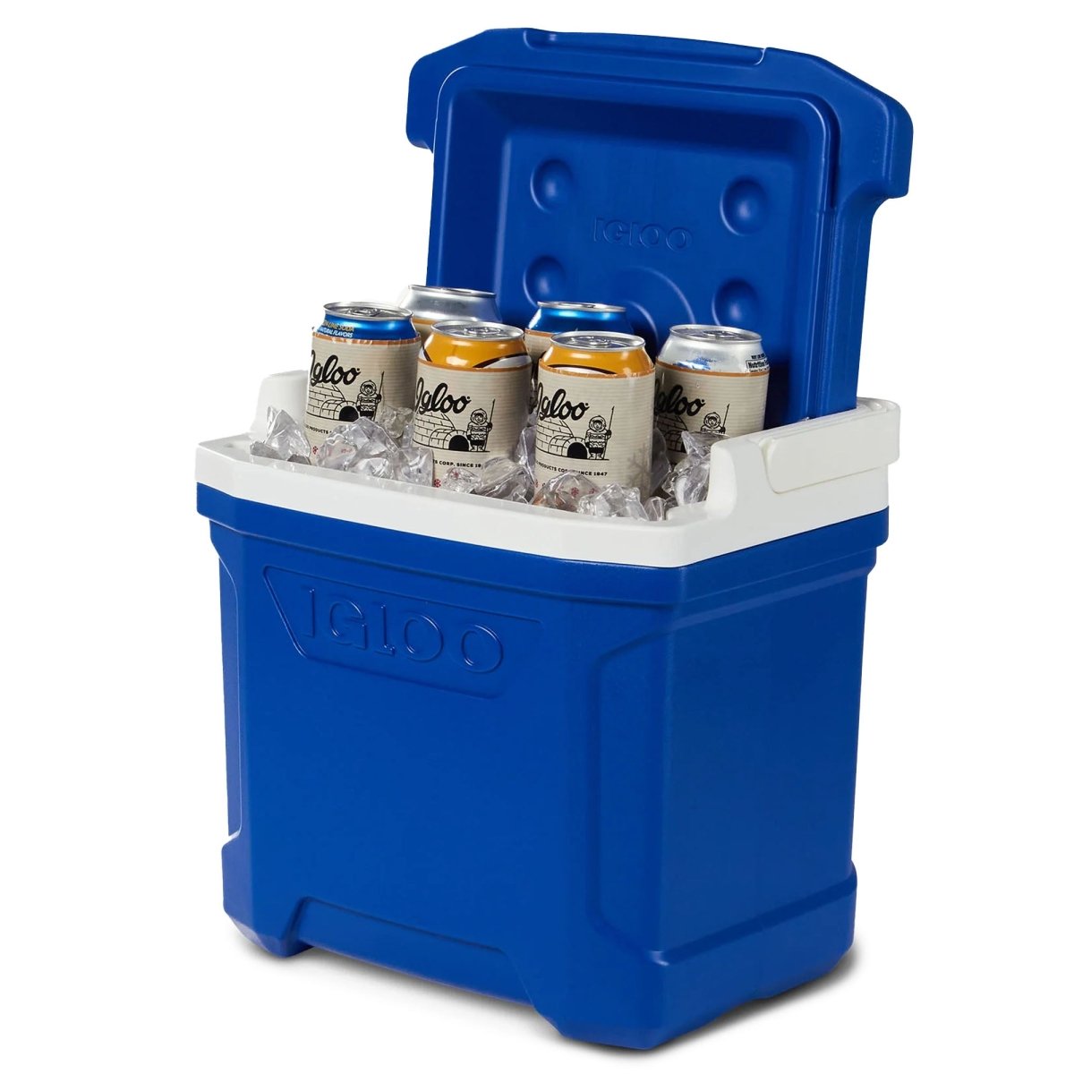 Igloo 16 qt. Profile II Hard Cooler - Forza Sports