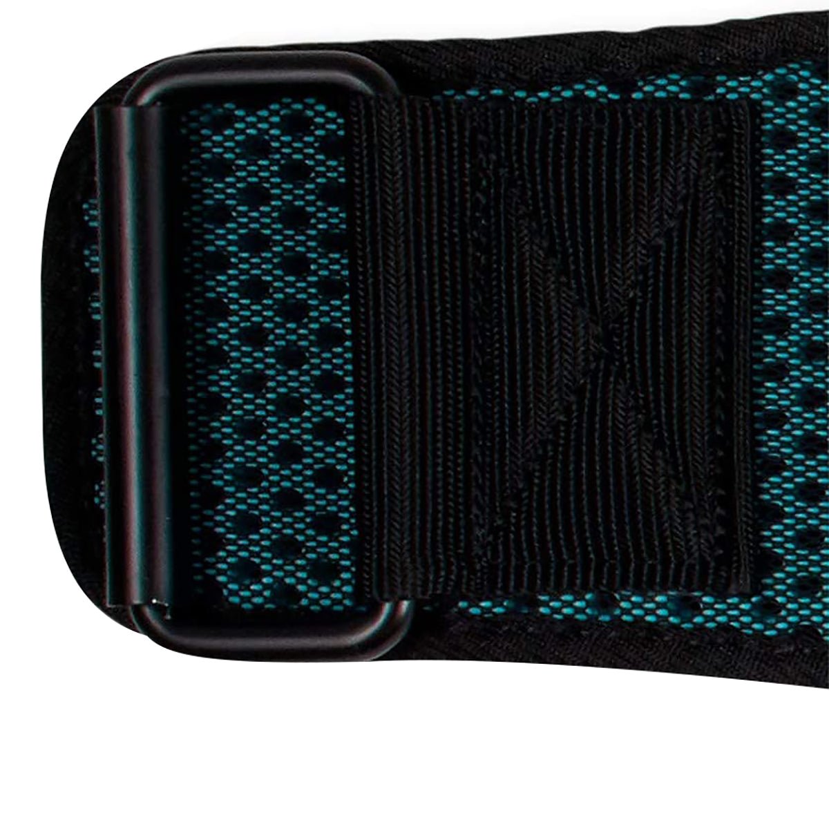 Harbinger Women's HexCore 4.5" Weight Lifting Belt - Blue - Forza Sports