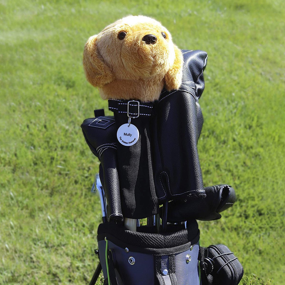 Teddy bear in a golf ball retriver bag on a grassy background