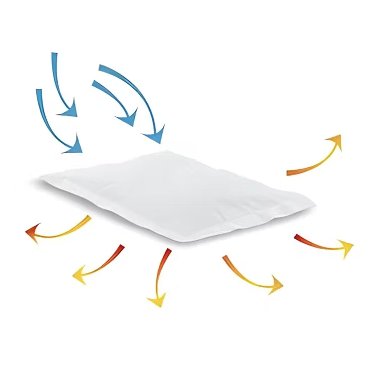 Little Hotties 18 Hour Hand and Body Warmer, 1 Pack - Forza Sports