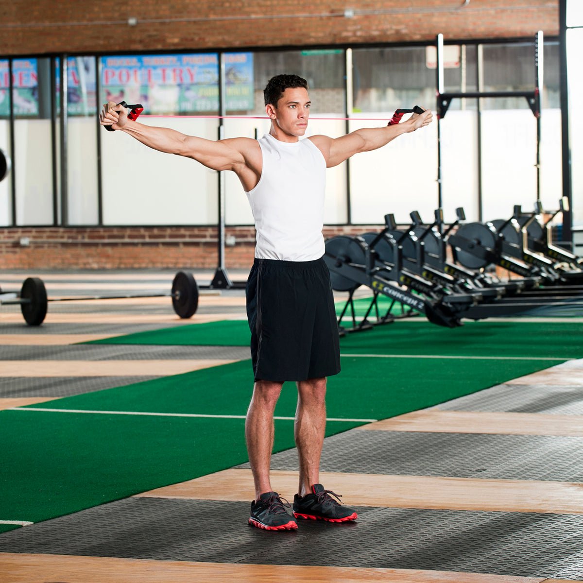 Lifeline USA Chest Expander With Three 30 lb. Resistance Cables - Forza Sports