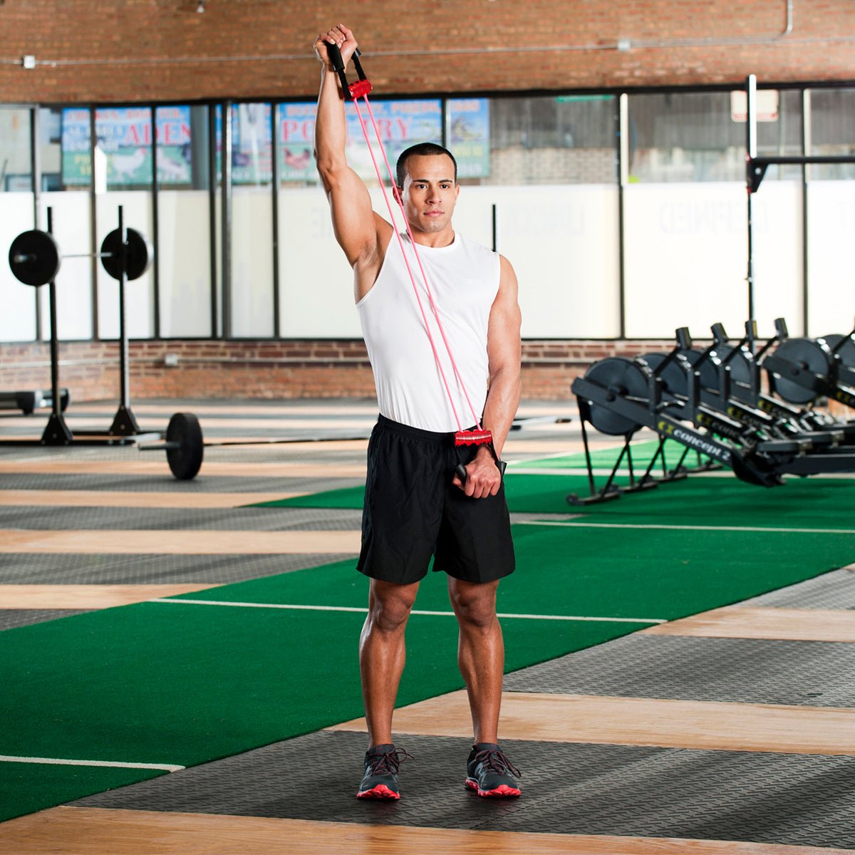 Lifeline USA Chest Expander With Three 30 lb. Resistance Cables - Forza Sports