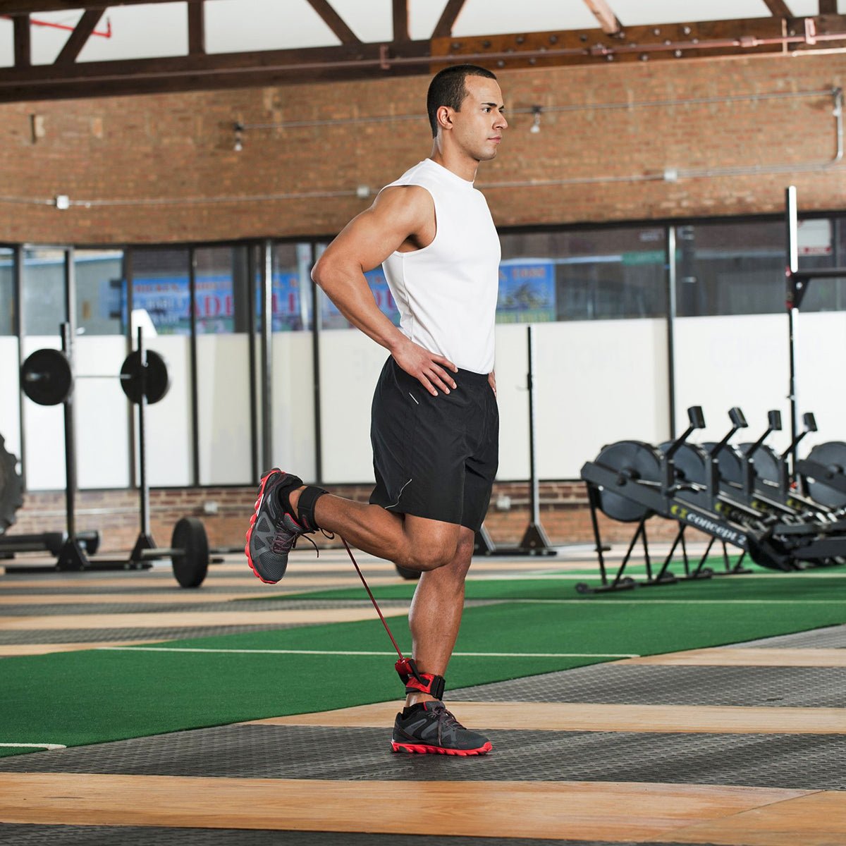 Lifeline USA Lateral Resistor II With Three 60 lb. Resistance Cables - Forza Sports