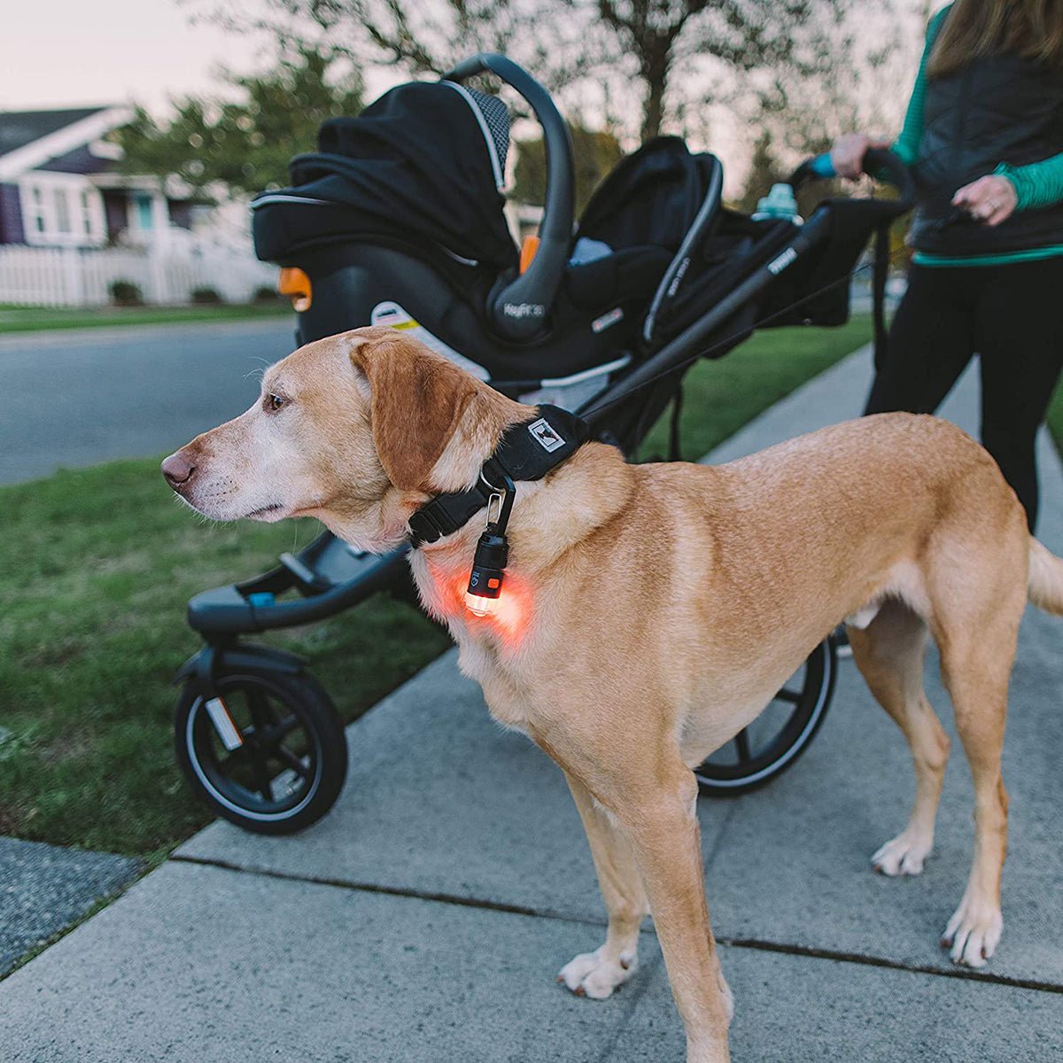 Gear Aid Multi - Purpose Rechargeable Carabiner Light Kit - Forza Sports