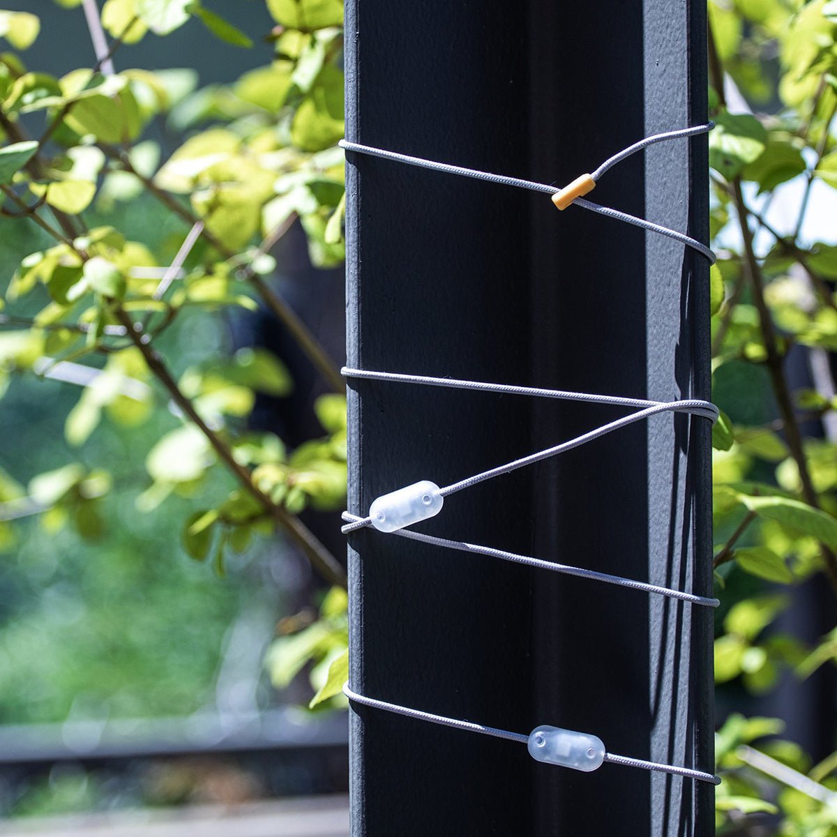 MPOWERD Luci Color Solar String Lights - Forza Sports