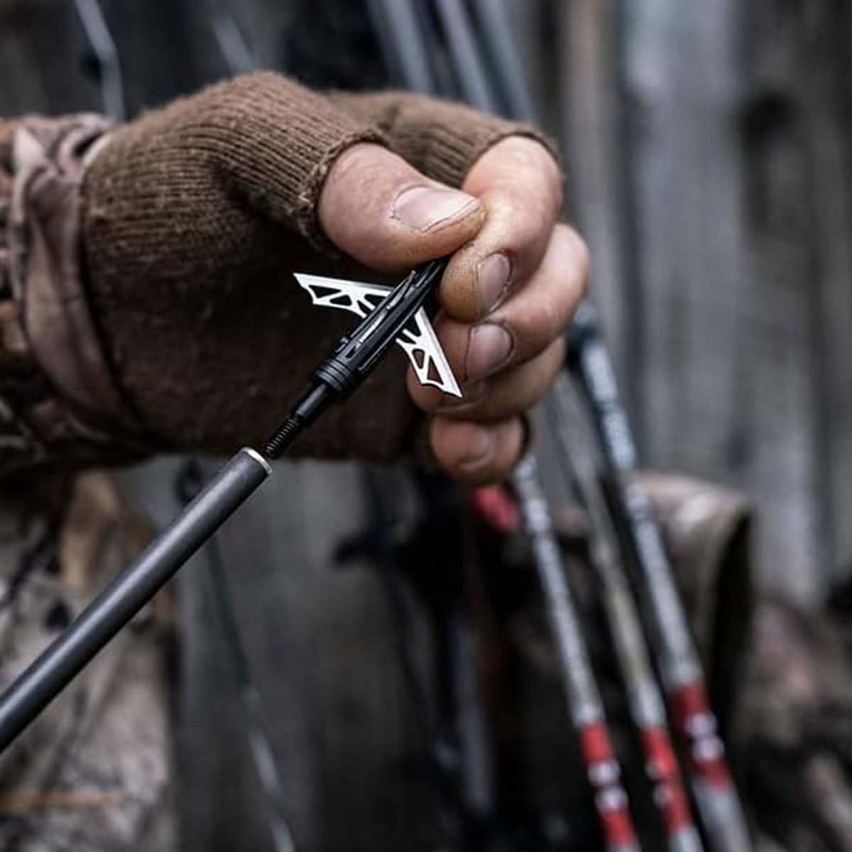 New Archery Products DK4 for Crossbow Broadhead 1 - 3/8’’ Fixed Blade - Forza Sports