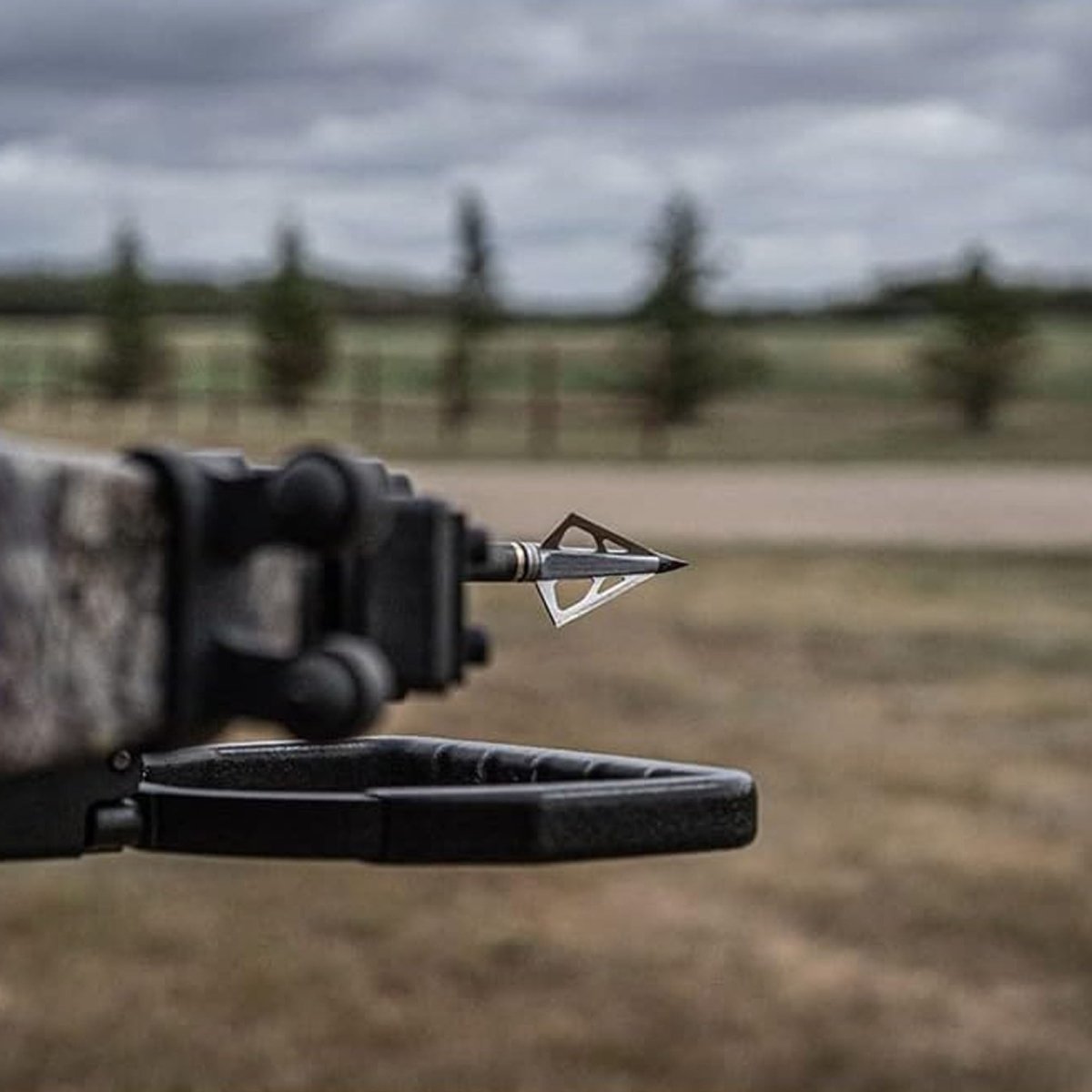 New Archery Products Thunderhead for Crossbow - Forza Sports