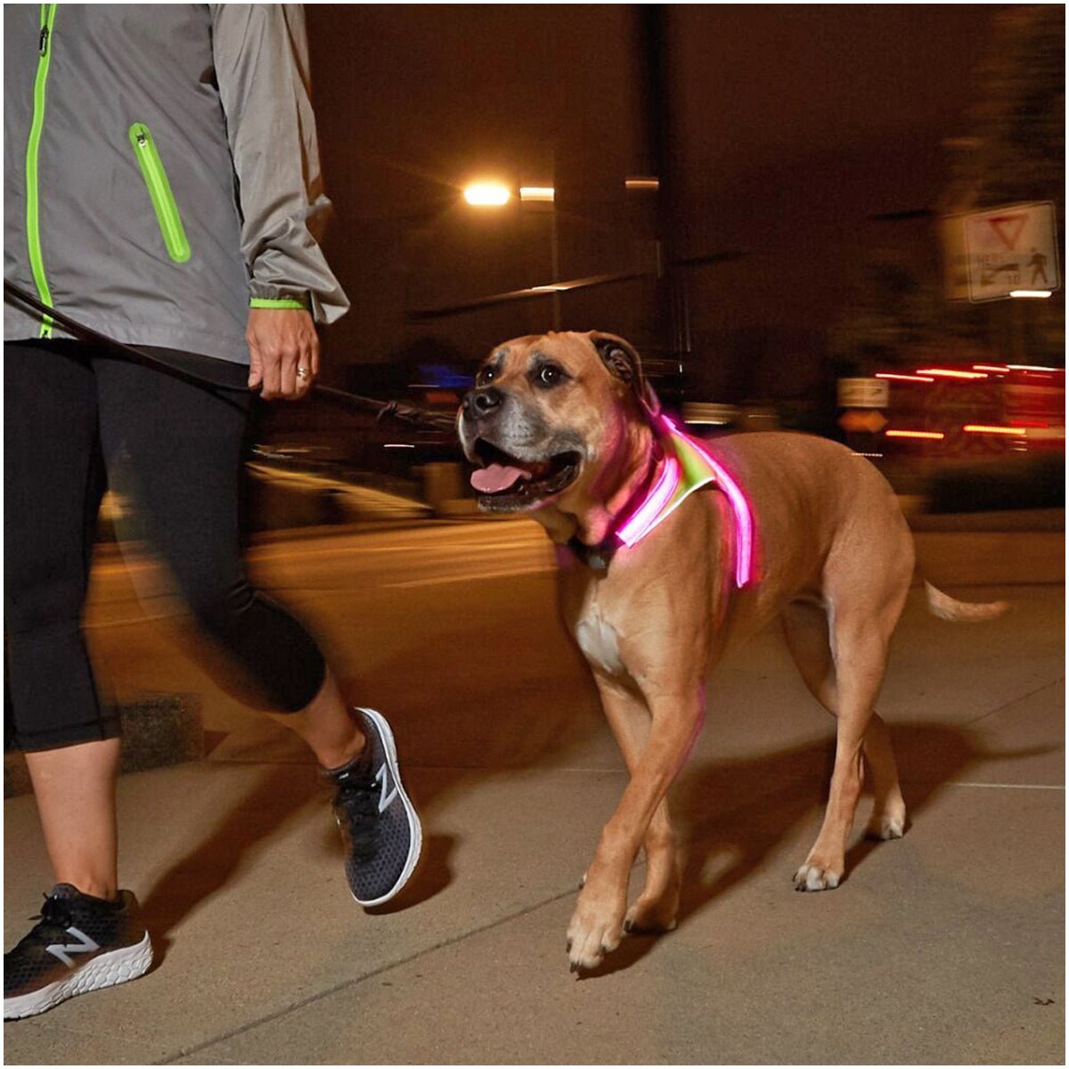 Noxgear Lighthound 360 Visibility Multicolor Reflective LED Dog Harness - Forza Sports