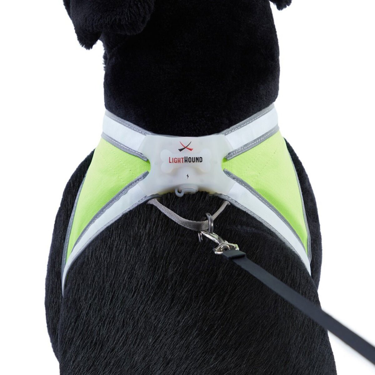 Noxgear Lighthound 360 Visibility Multicolor Reflective LED Dog Harness - Forza Sports