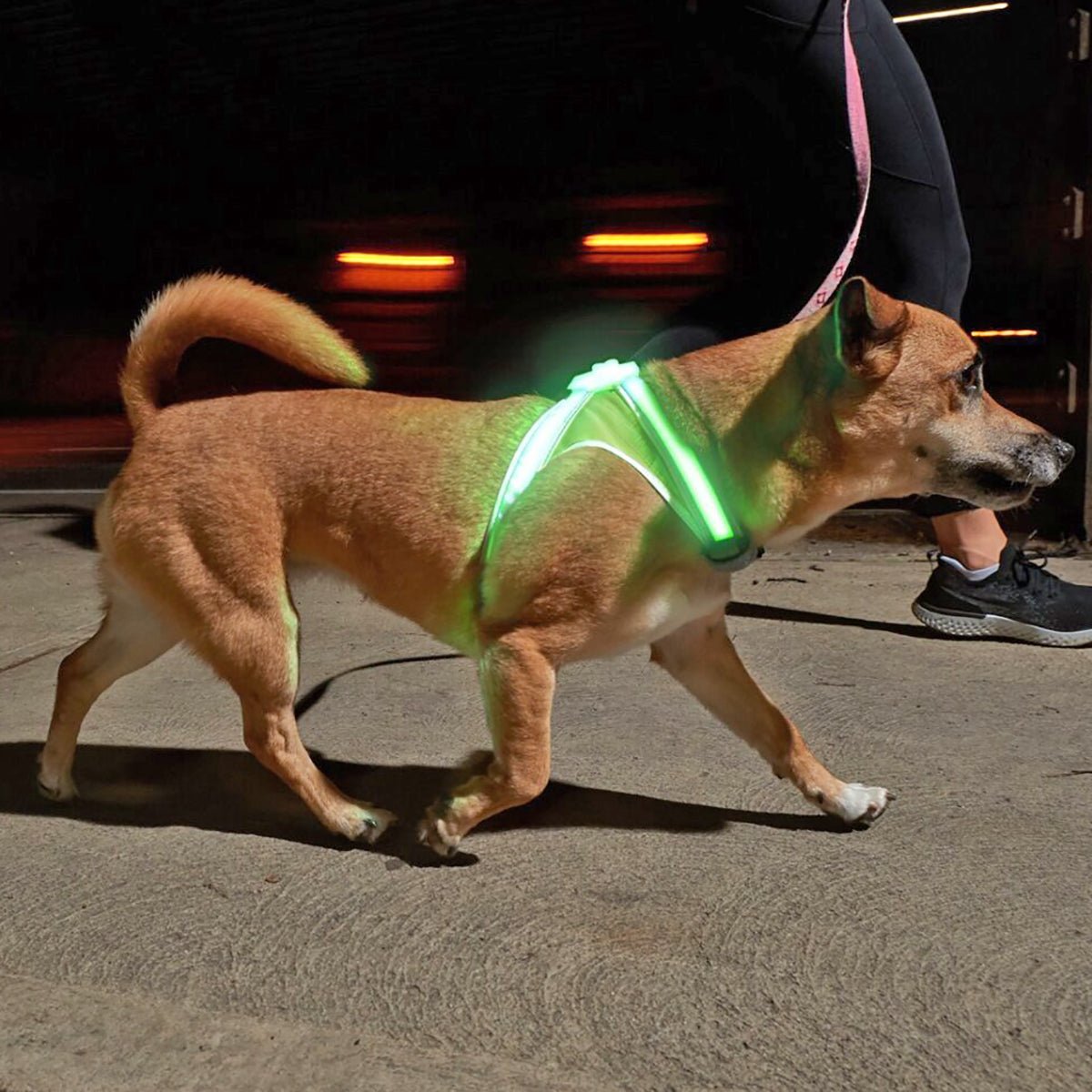 Noxgear Lighthound 360 Visibility Multicolor Reflective LED Dog Harness - Forza Sports