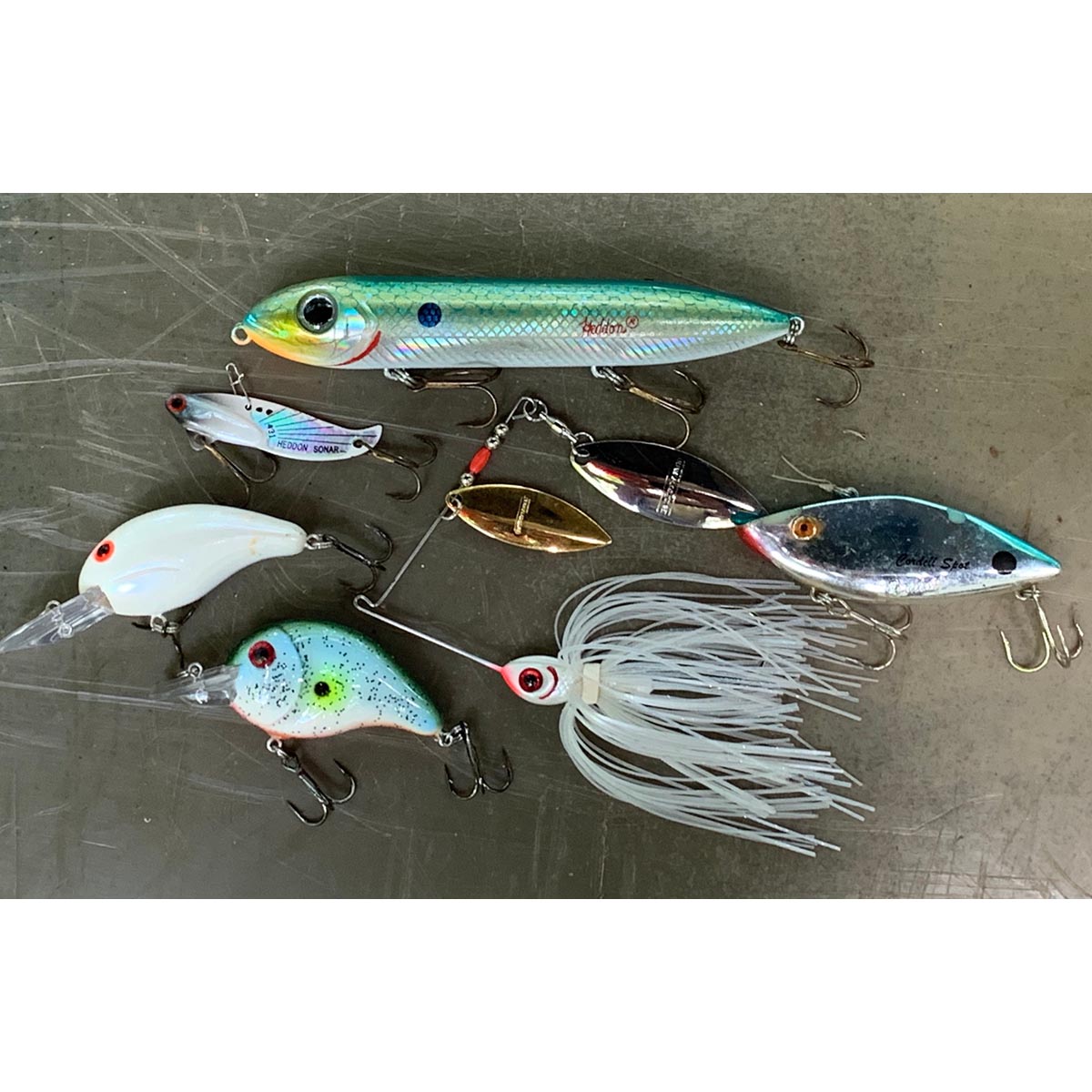 Cotton Cordell Gay Blade 1/4 oz Fishing Lure - Forza Sports