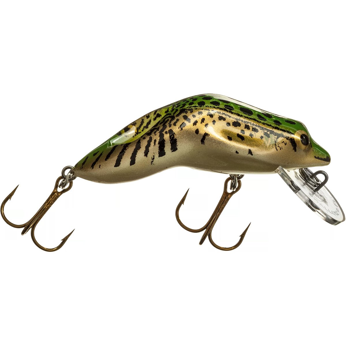 Rebel Wee Frog 3/8 oz Fishing Lure - Northern Leopard Frog - Forza Sports