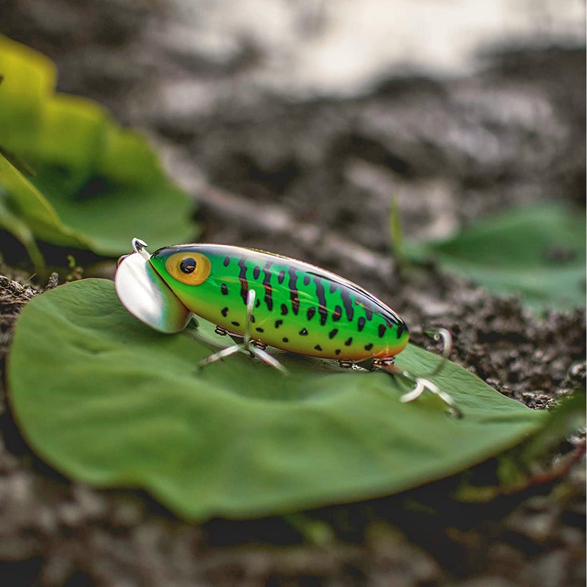 Arbogast Jitterbug Clicker 1/4 oz. Topwater Fishing Lure - Black - Forza Sports