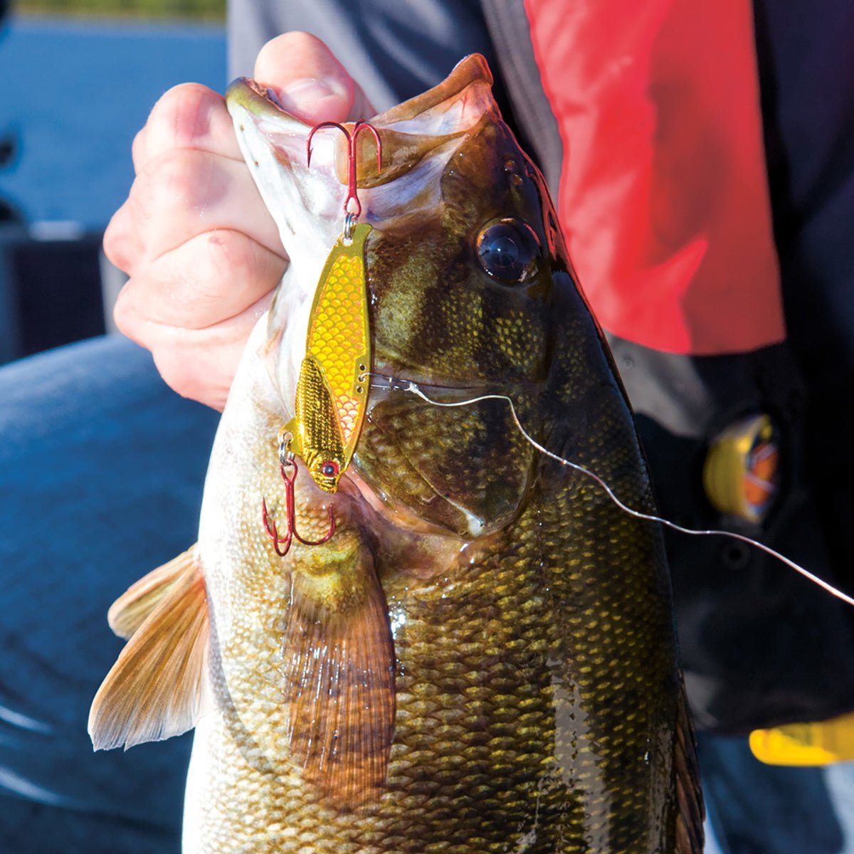 Heddon Sonar Flash 1/2 oz. Fishing Lure - Forza Sports