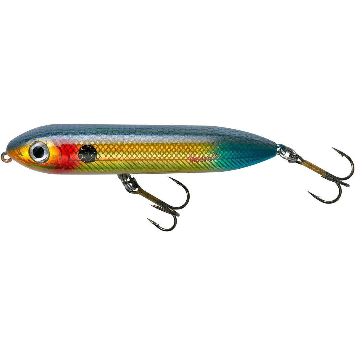 Heddon Super Spook 7/8 oz Freshwater Fishing Lure - Forza Sports