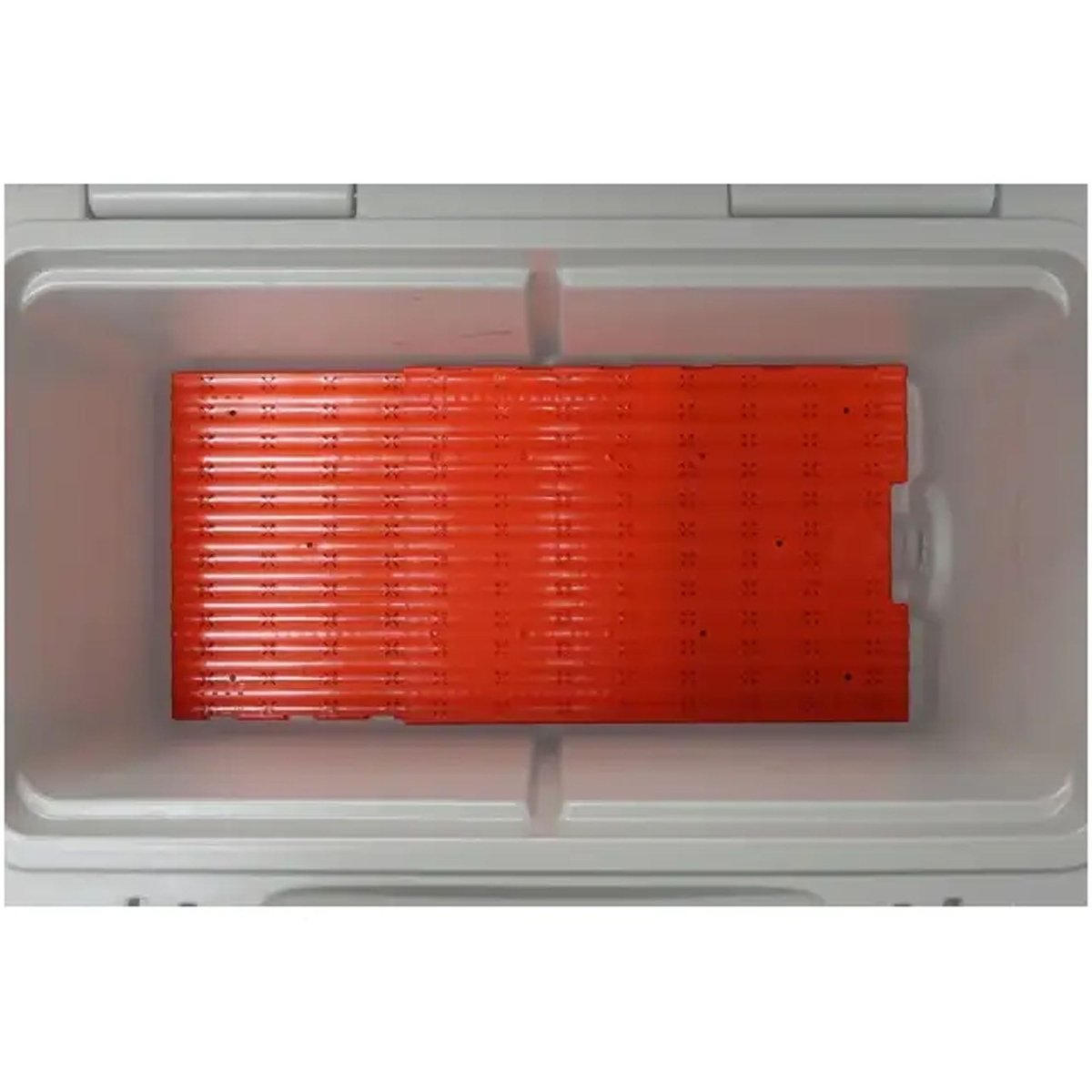 Red cooler tray inside a white container on a white background