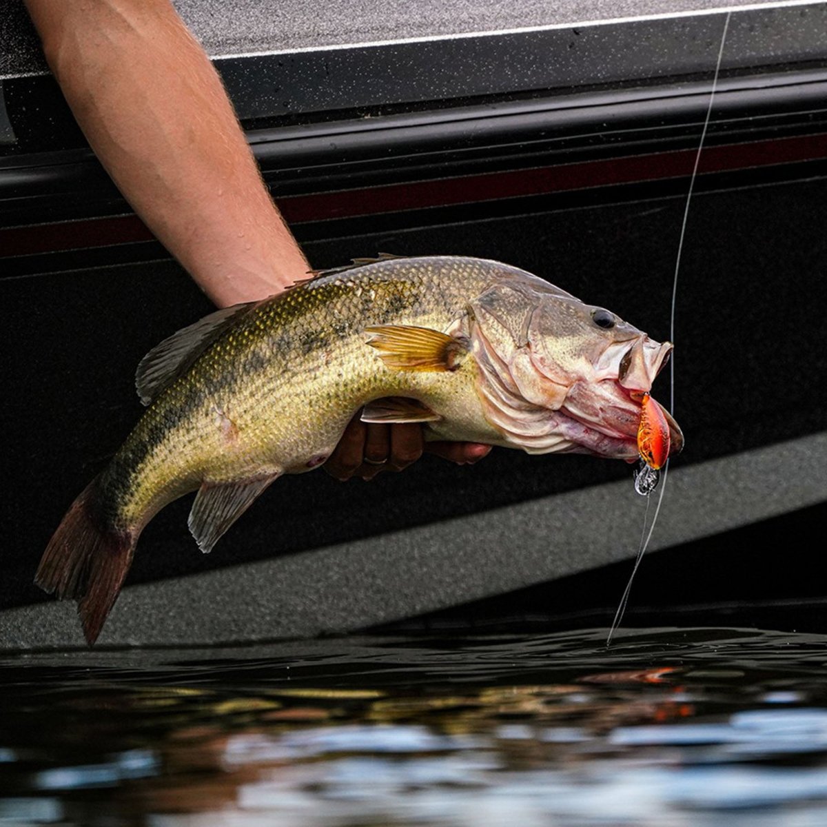 Rapala Dives-To 08, Fishing Lure - Forza Sports