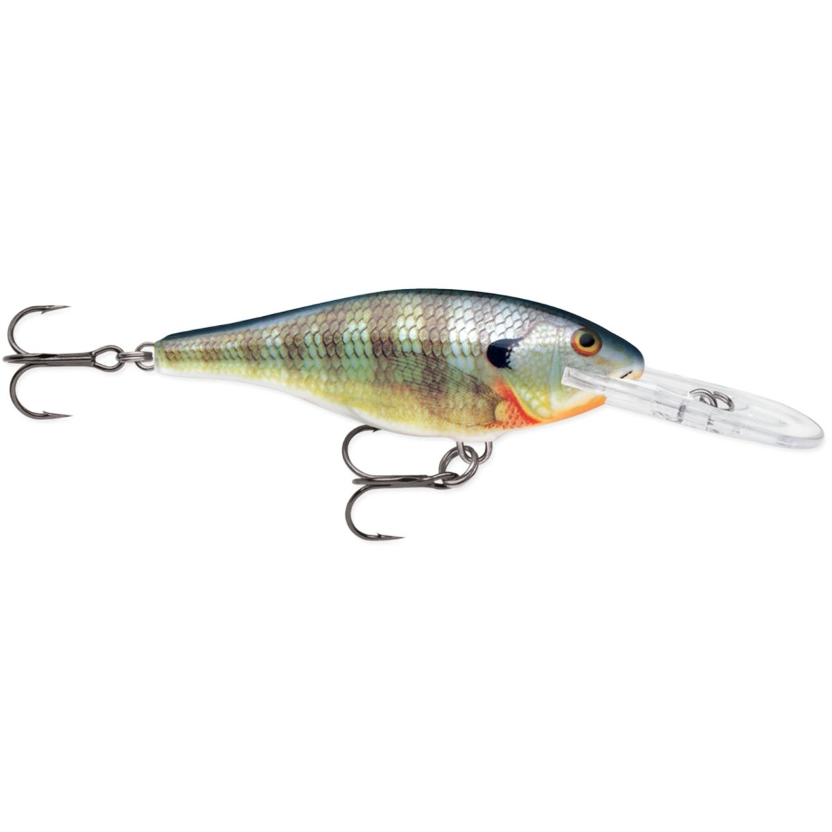 Rapala Shad Rap 06, Fishing Lure - Forza Sports