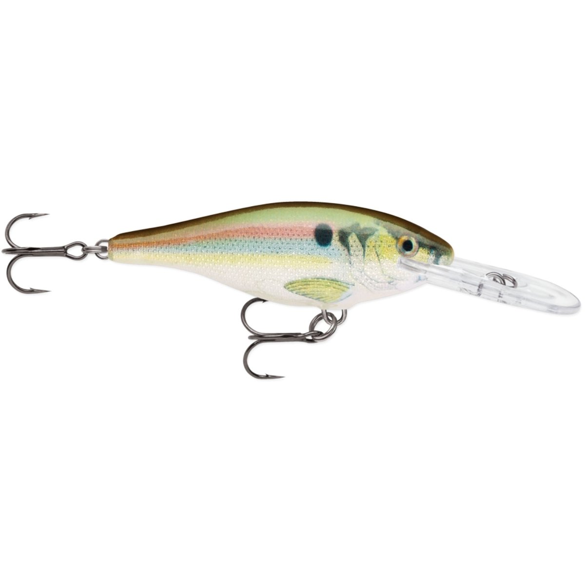 Rapala Shad Rap 06, Fishing Lure - Forza Sports