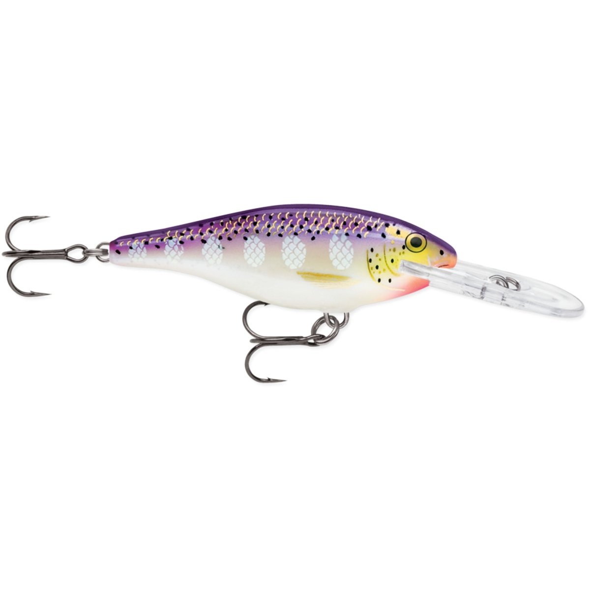 Rapala Shallow Shad Rap 07 Fishing Lure - Forza Sports