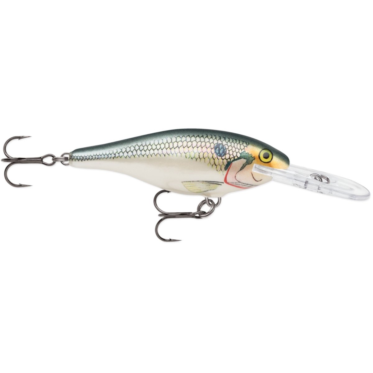 Rapala Shallow Shad Rap 07 Fishing Lure - Forza Sports