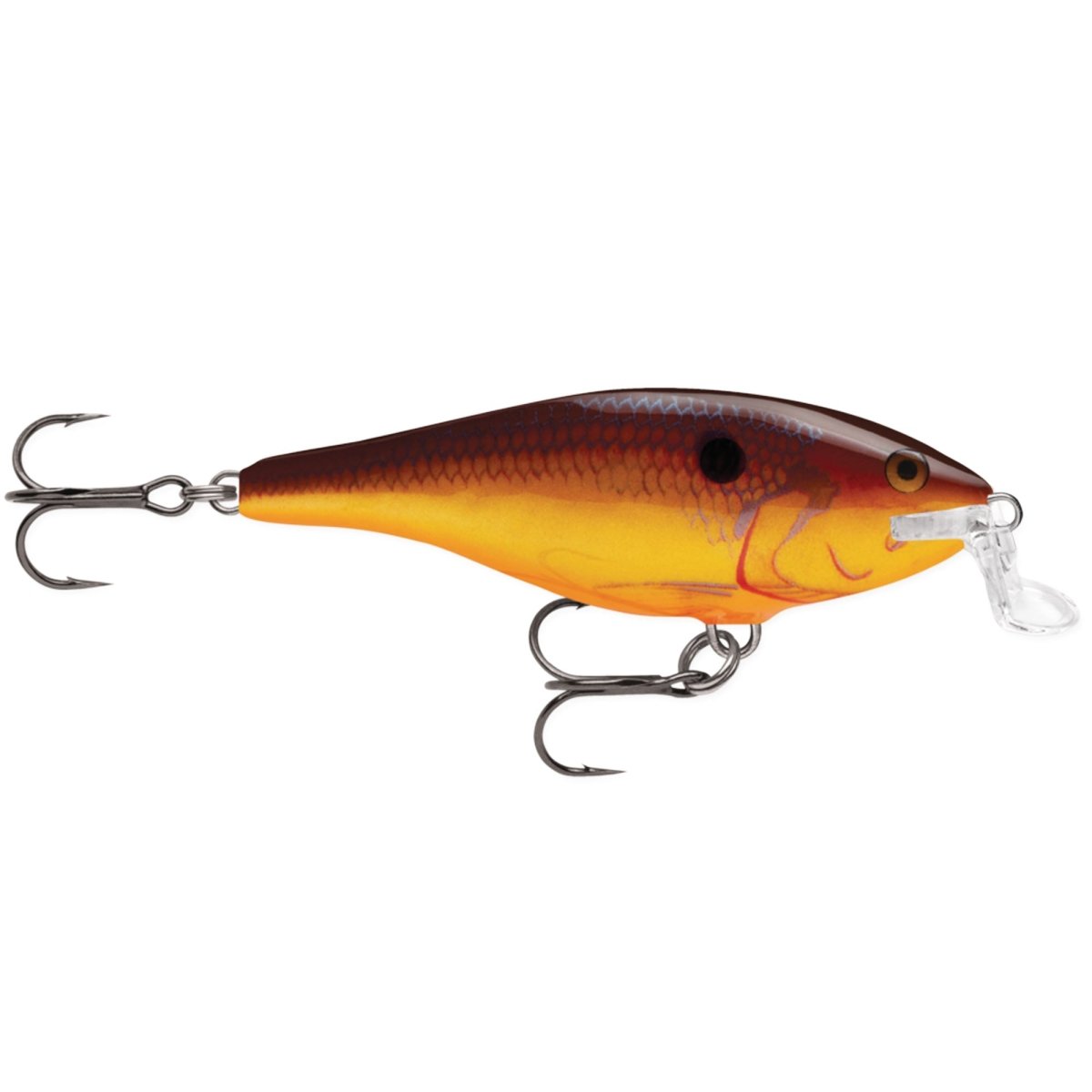 Rapala Shallow Shad Rap 05, Fishing Lure - Forza Sports