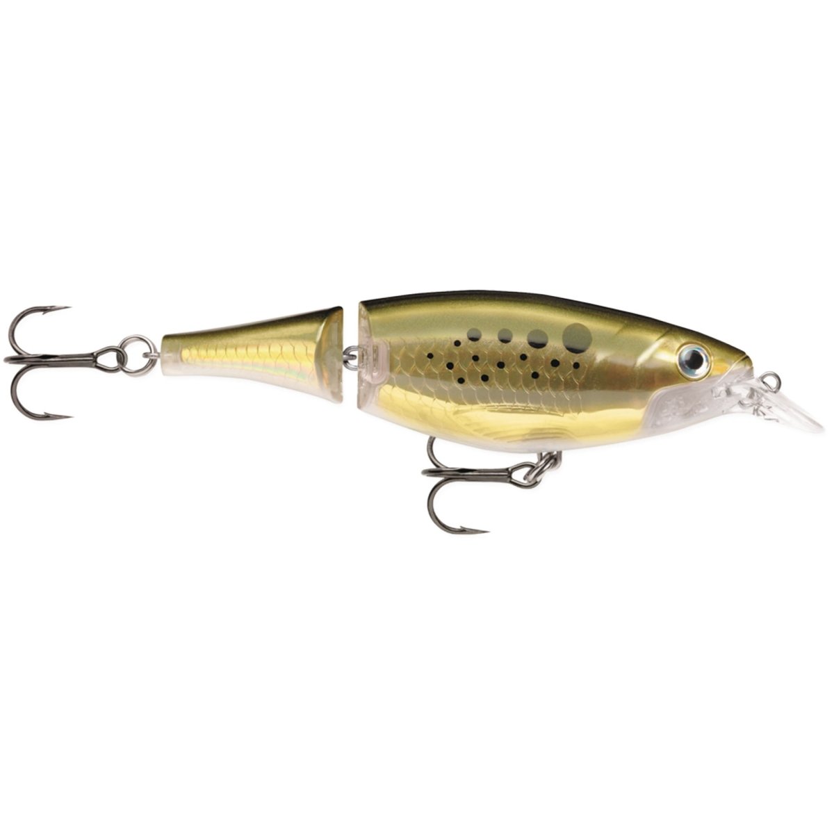 Rapala X-Rap Jointed Shad 13, Fishing Lure - Forza Sports