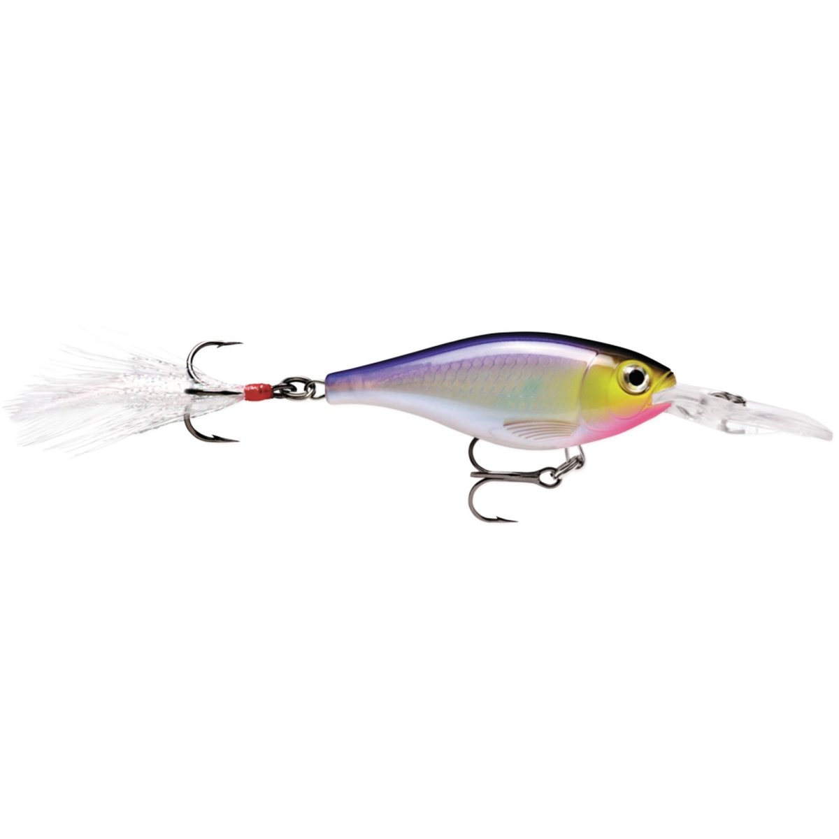 Rapala X-Rap Shad 06, Fishing Lure - Forza Sports