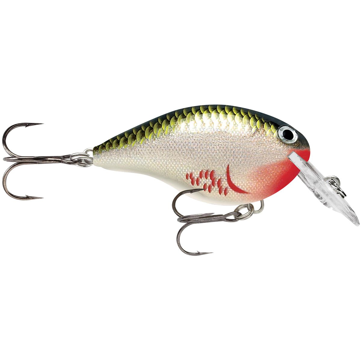 Rapala Dives - To 06 Fishing Lure - Forza Sports