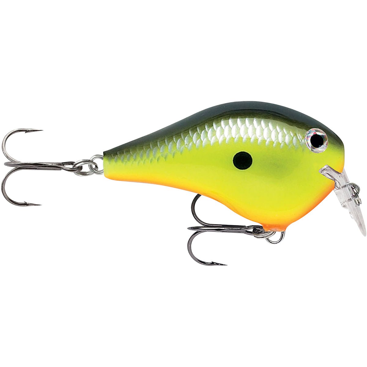 Rapala DT Fat 03 Fishing Lure - Chartreuse Shad - Forza Sports
