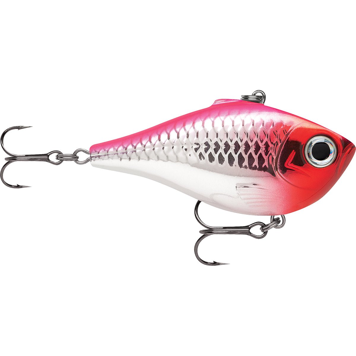 Rapala 2.5" Rippin' Rap Fishing Lure - Forza Sports