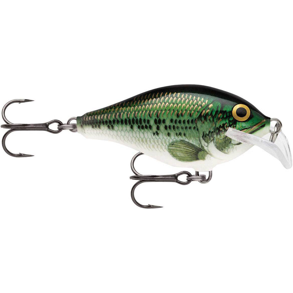 Fishing lure resembling a fish on a white background