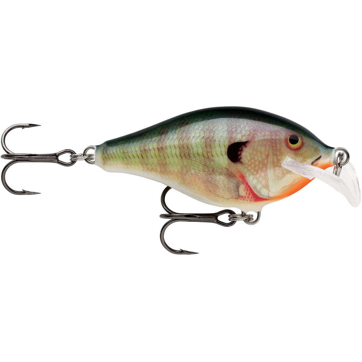 Fishing lure resembling a fish on a white background